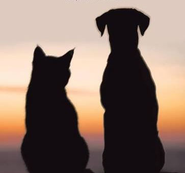 animal-voices